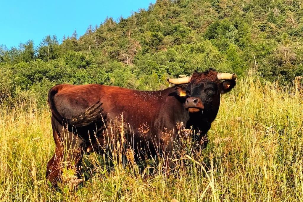 Appartamento Di Montagna Lo Grop Chambave Eksteriør bilde